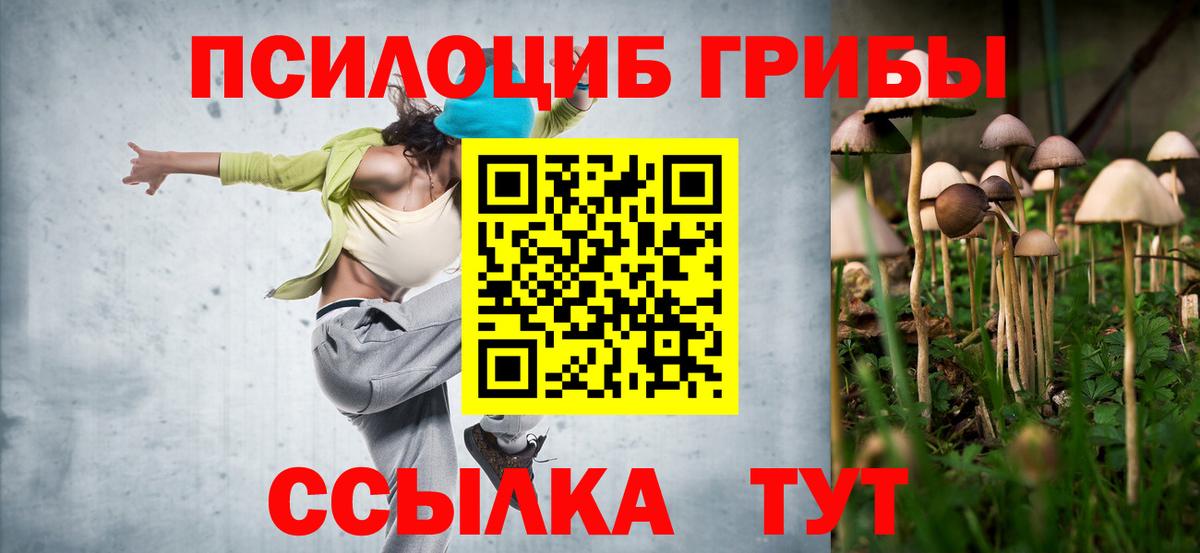 Галлюциногенные грибы Cubensis  Вход с VPN  Артём 